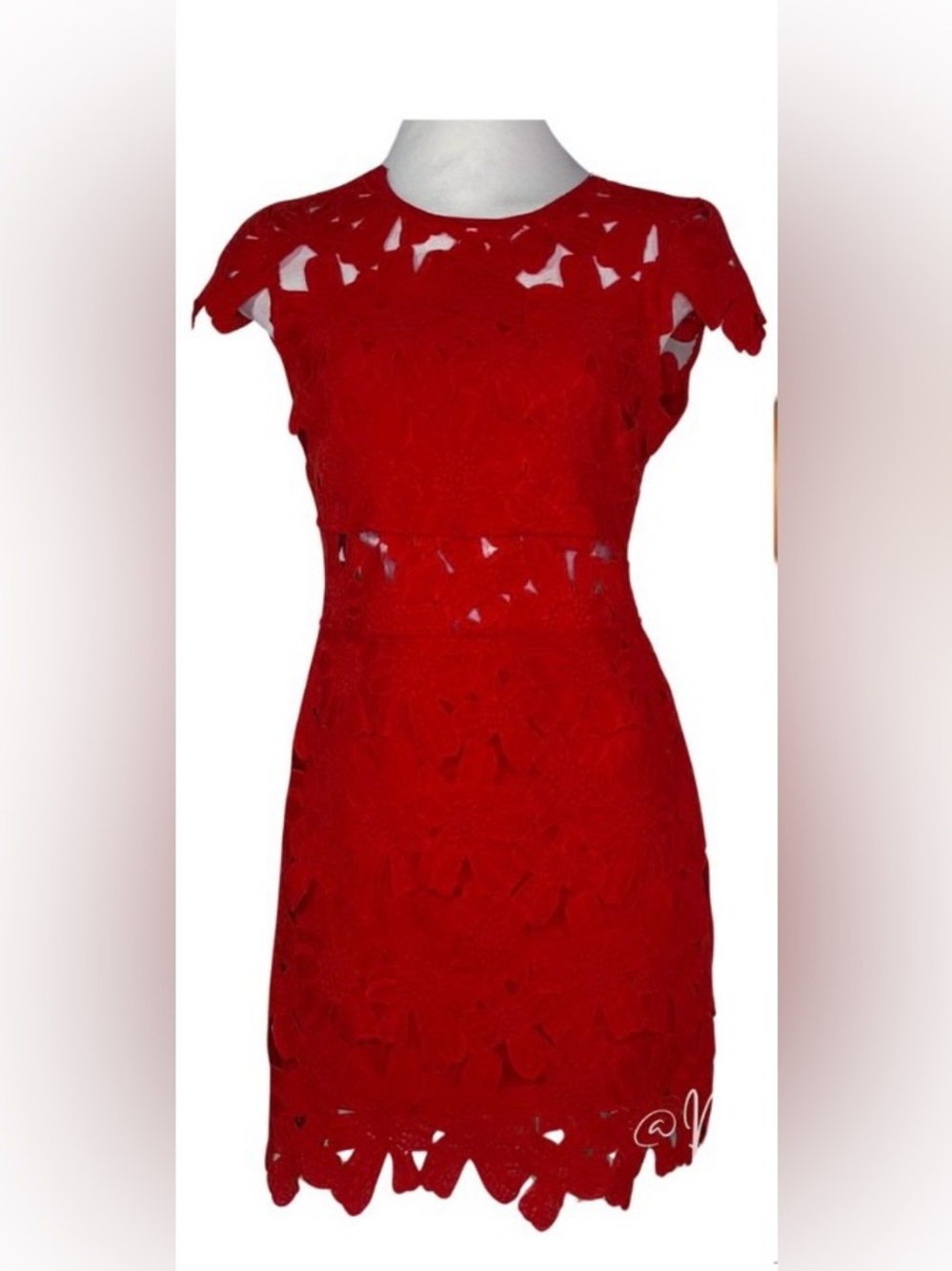 Romeo & Juliet Couture Red Lace Cut Out Midriff Mini Dress
